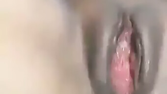 Sert Seven Afrikalı Ebony Bebekle Pov Anal Seks