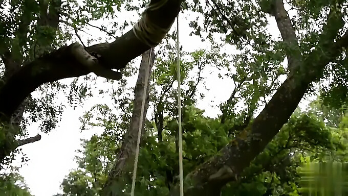 Amigos Se Entregan A Un Poco De Diversión Al Aire Libre En El Jardín