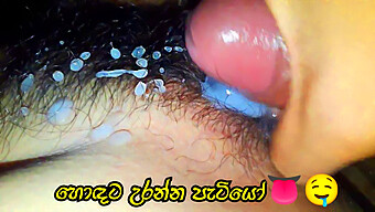 Hodata'S Hairy Close-Up: A Sinhala Homemade Porn Experience