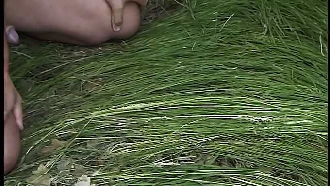 Rencontre En Plein Air Avec Une Latina Dans L'Herbe Haute