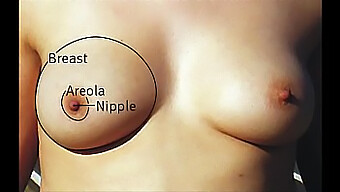 Diverse Collection Of Large Breasts