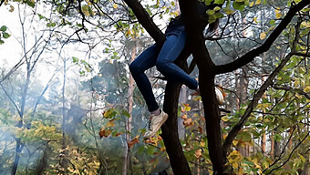 Seorang Gadis Menikmati Kesenangan Solo Dengan Menggosok Dirinya Pada Pokok Di Hutan